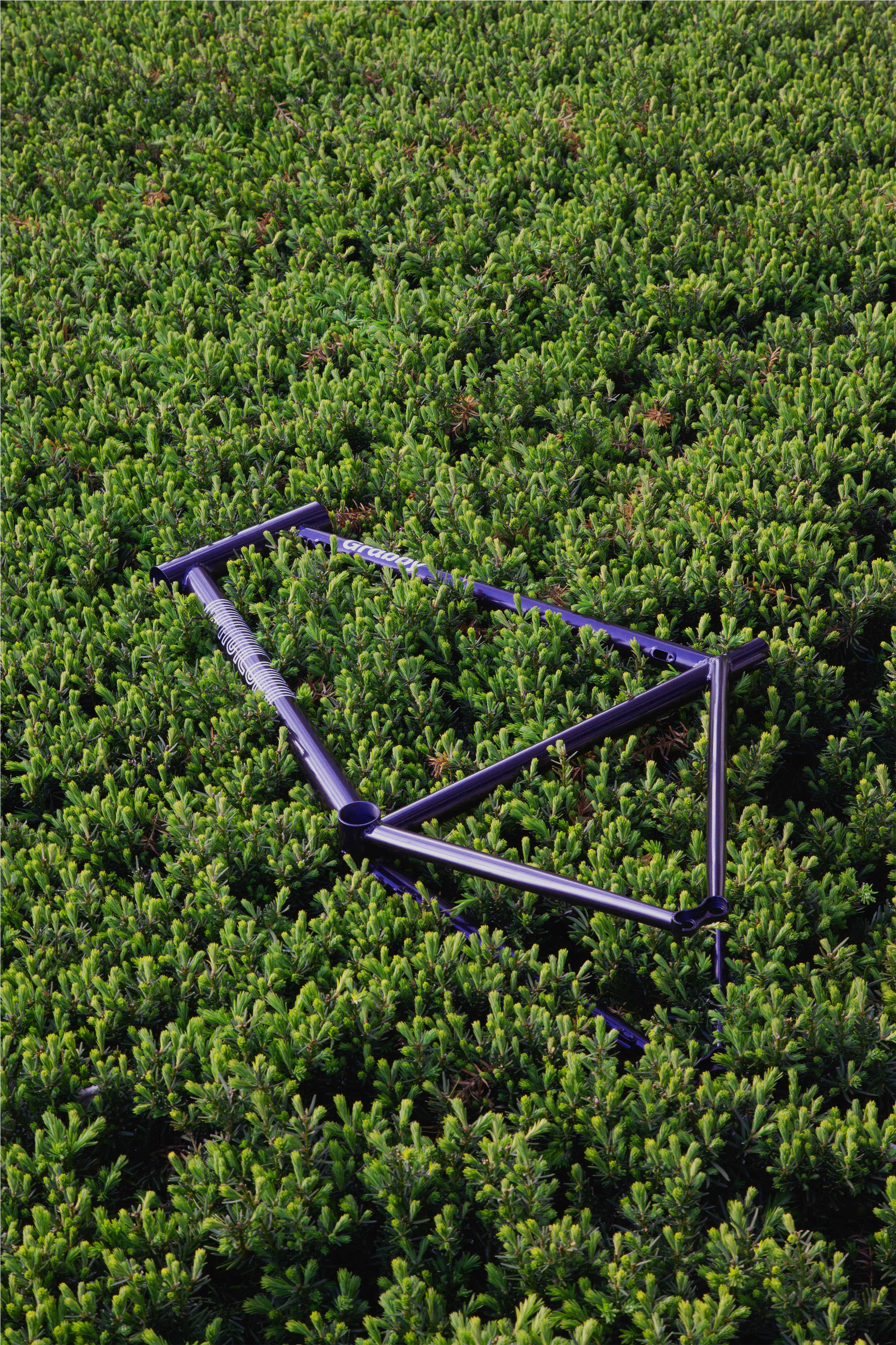 Frame in Natural Setting